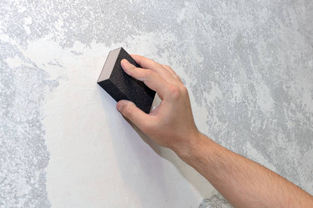 Best Mold Odor Removal Services  in Dry Run, OH