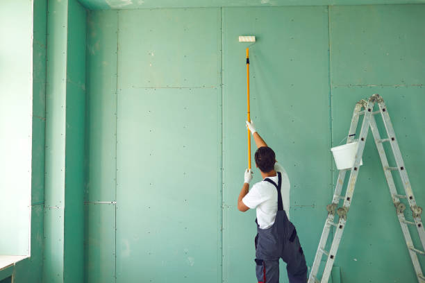 Best Basement Mold Removal  in Dry Run, OH