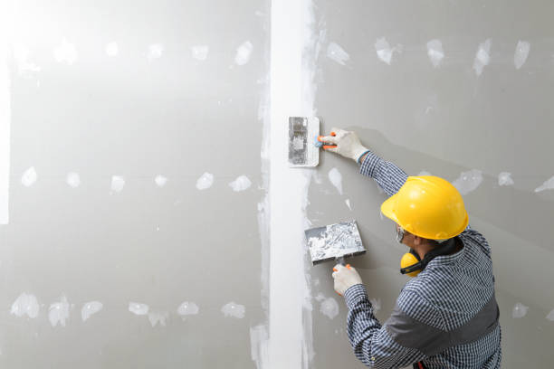 Asbestos and Lead Testing During Mold Inspection in Dry Run, OH