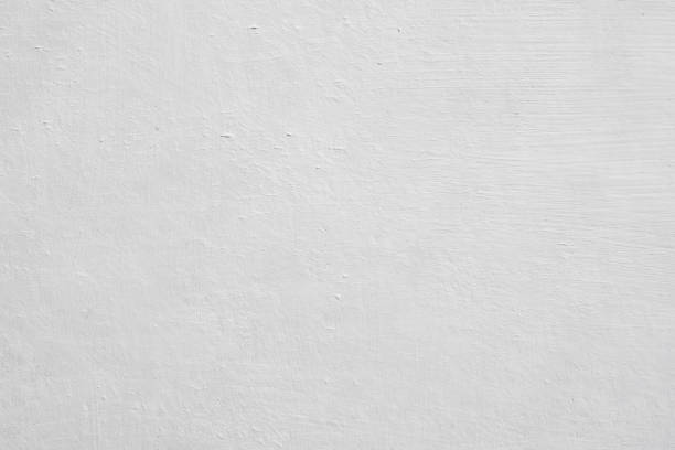 Trusted Dry Run, OH Mold Removal Experts