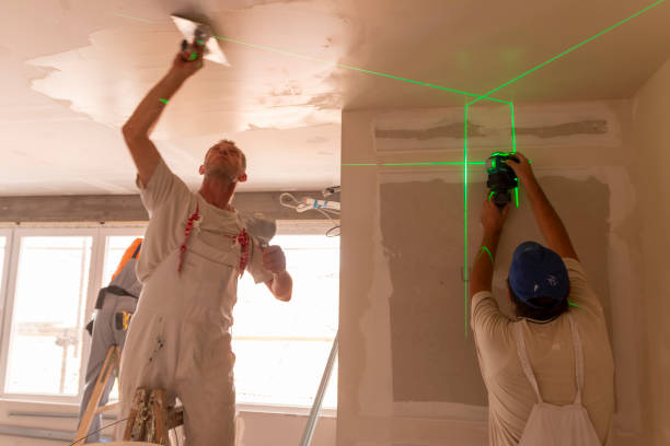 Best Attic Mold Removal  in Dry Run, OH