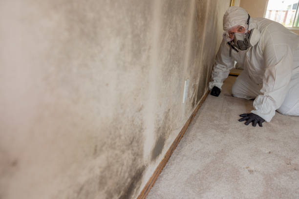 Best Crawl Space Mold Remediation  in Dry Run, OH