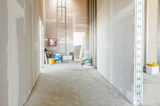  Dry Run, OH Mold Removal Pros